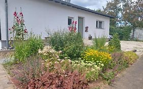 B&B Manderscheid-Blick