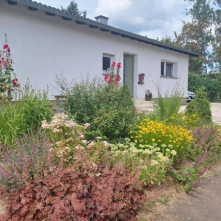 B&B Manderscheid-Blick Pantenburg Buitenkant foto