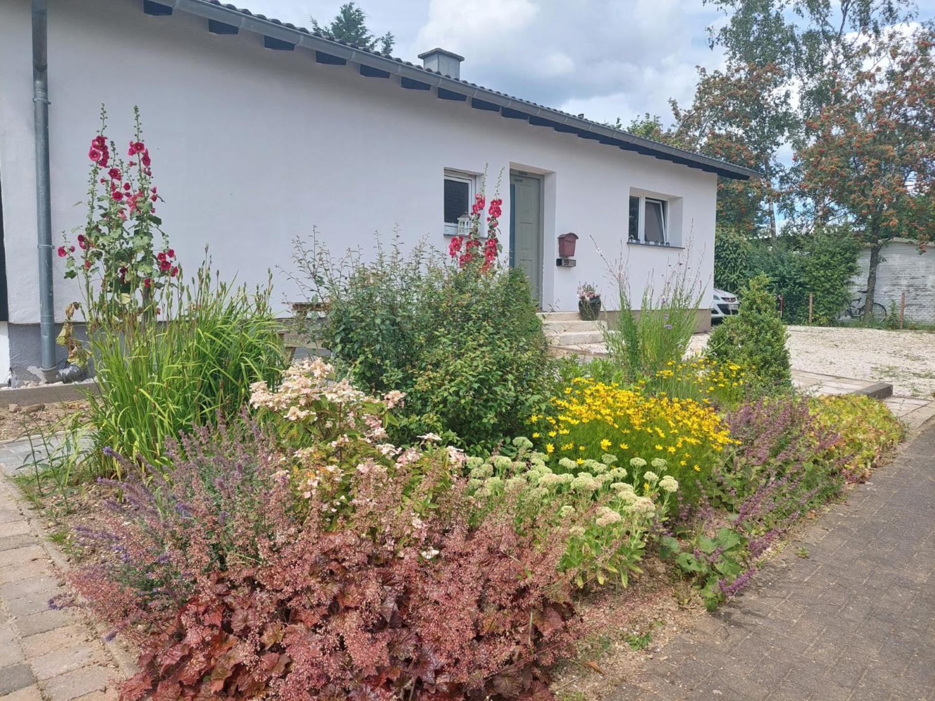 B&B Manderscheid-Blick Pantenburg Buitenkant foto